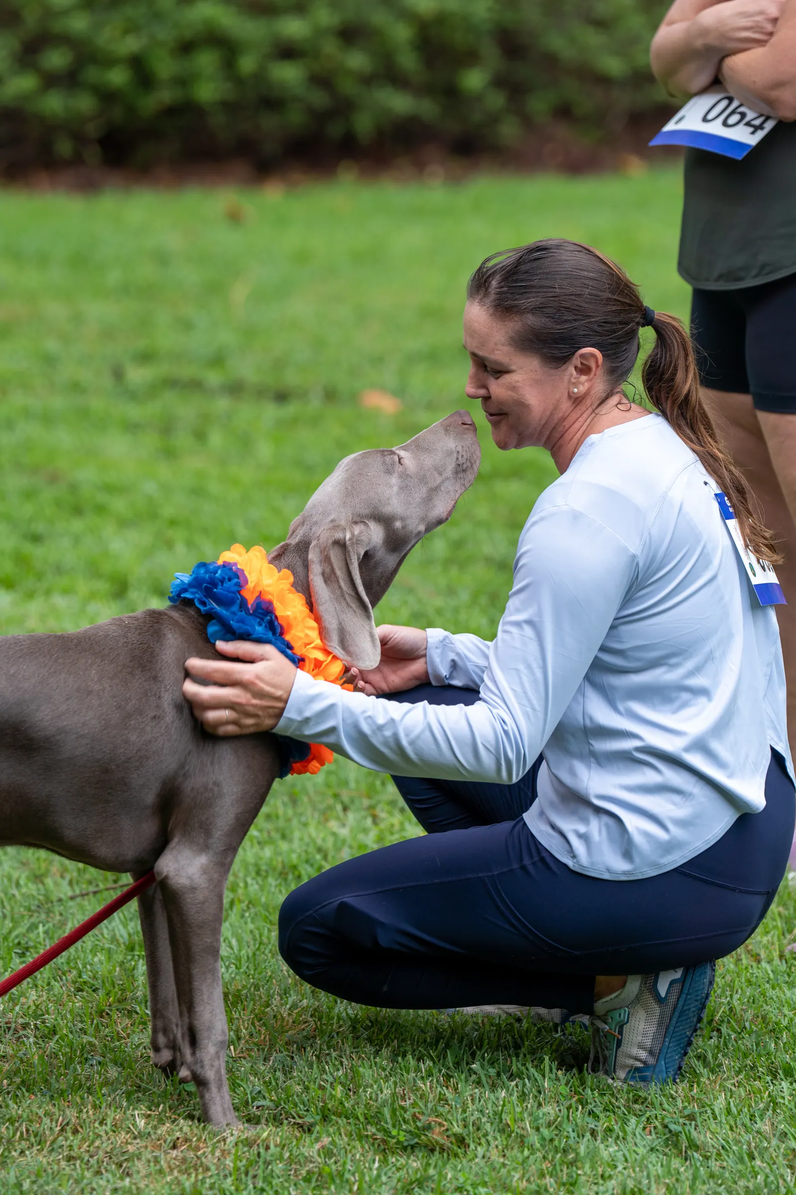 A woman kneels on the grass to greet a gray dog wearing an orange and blue bandana.