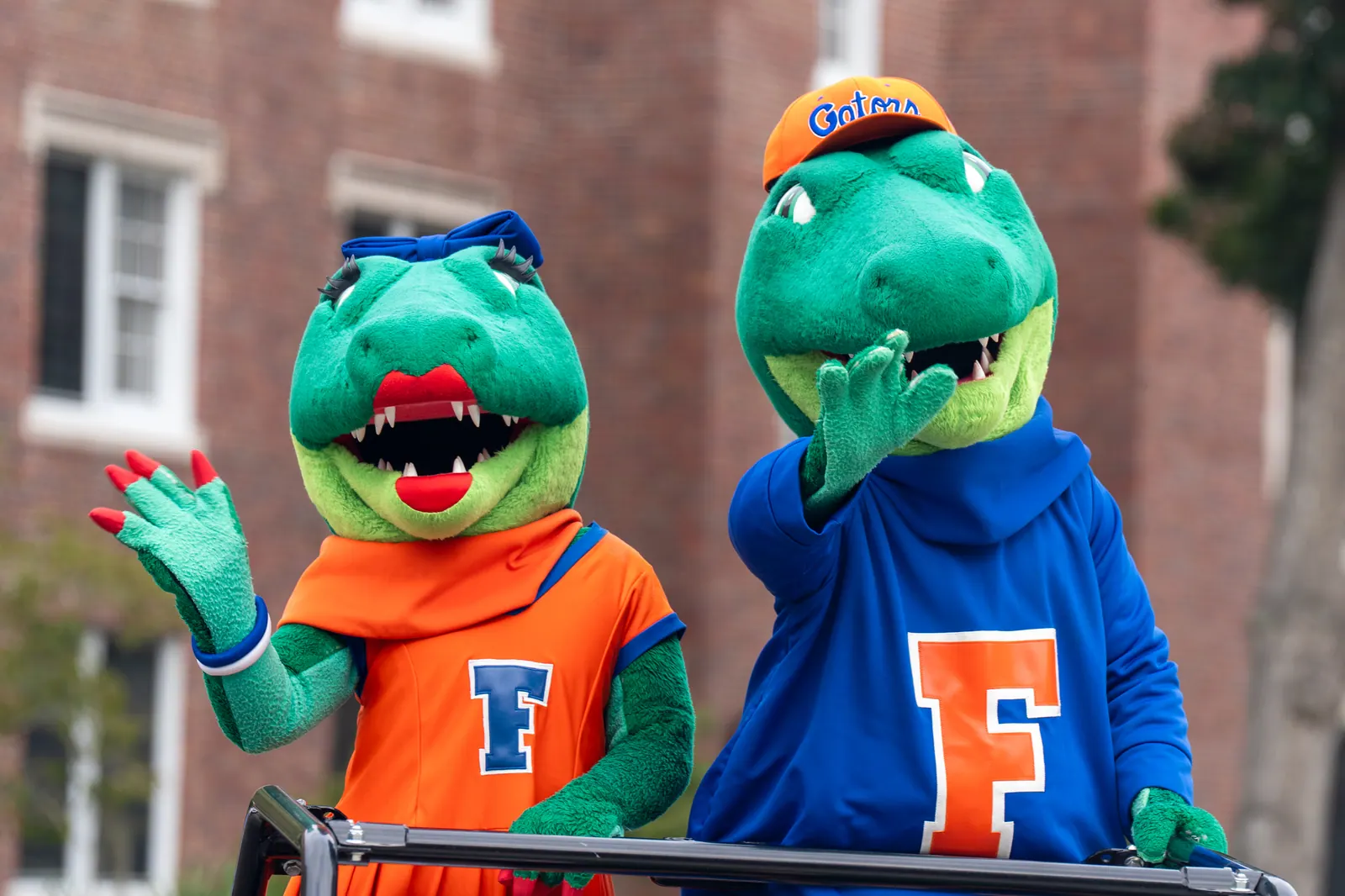 Albert and Alberta, the Florida Gators mascots, waving from a parade vehicle.